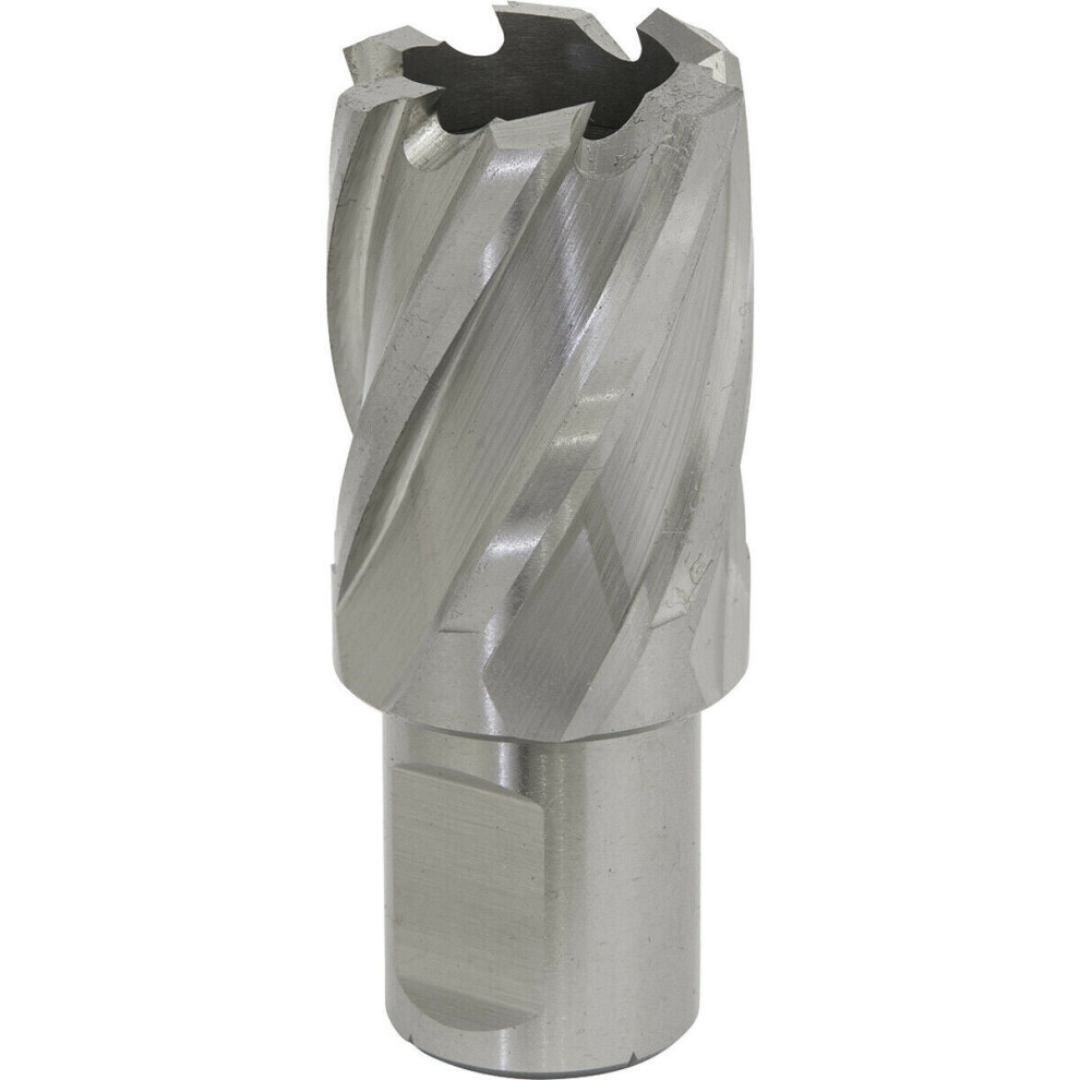 25Mm X 25Mm Depth Rotabor Cutter - M2 Steel Annular Metal Core Drill 19Mm Shank 5056524297896