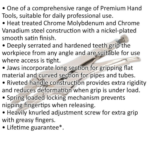 Loops 210mm Long Nose Locking Pliers - Deeply Serrated 60mm Jaws - Riveted Handle 1