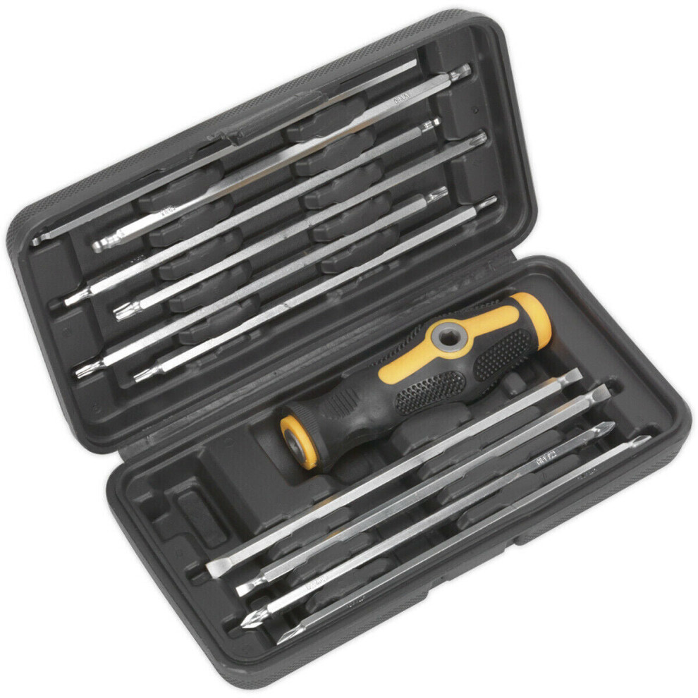 Loops 20-In-1 T Bar Screwdriver Set - Slotted Phillips Trx Hex Ball - Long Bits & Case