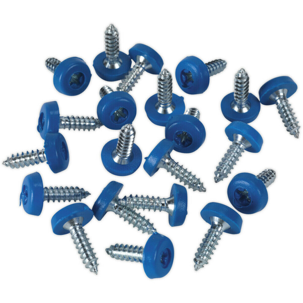 50 PACK 4.8 x 18mm Blue Numberplate Screw - Plastic Enclosed Head Fixings