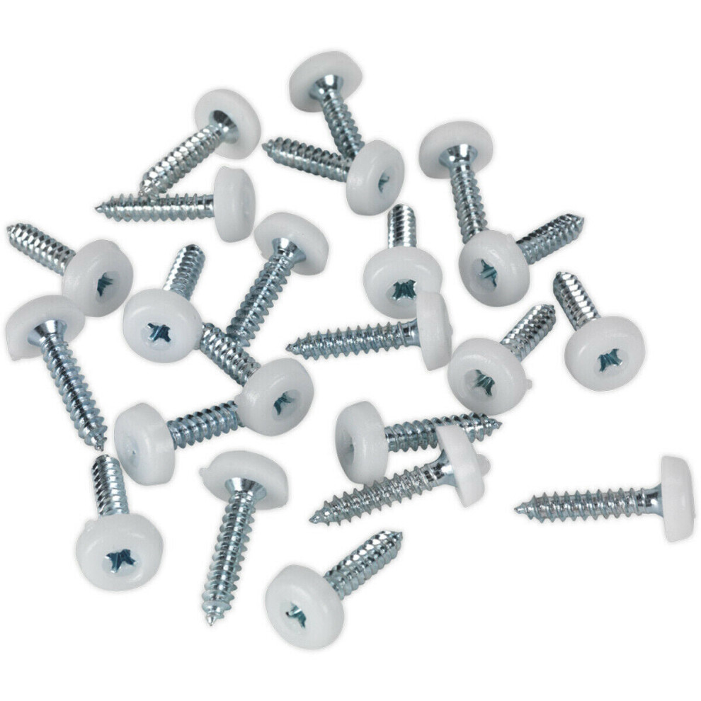 50 PACK 4.8 x 24mm White Numberplate Screw - Plastic Enclosed Head Fixings