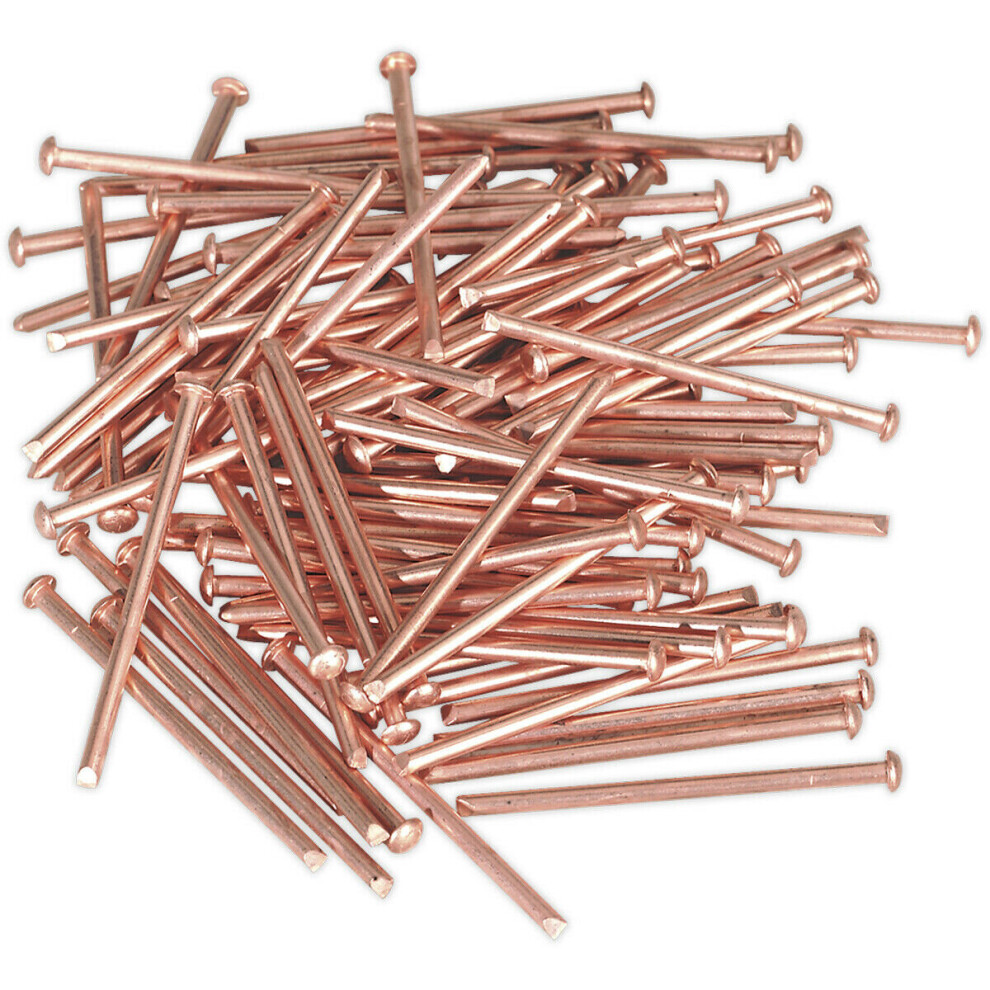 100 Pack - 2.5Mm X 50Mm Stud Welding Nails - Car Dent Copper Pulling Spot Pins 5056524295007
