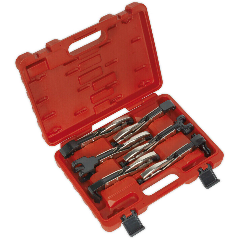 6 Piece Axial Locking Grip Pliers Set - Liner Jaw Action - Thumb Release - Case 5056524250723