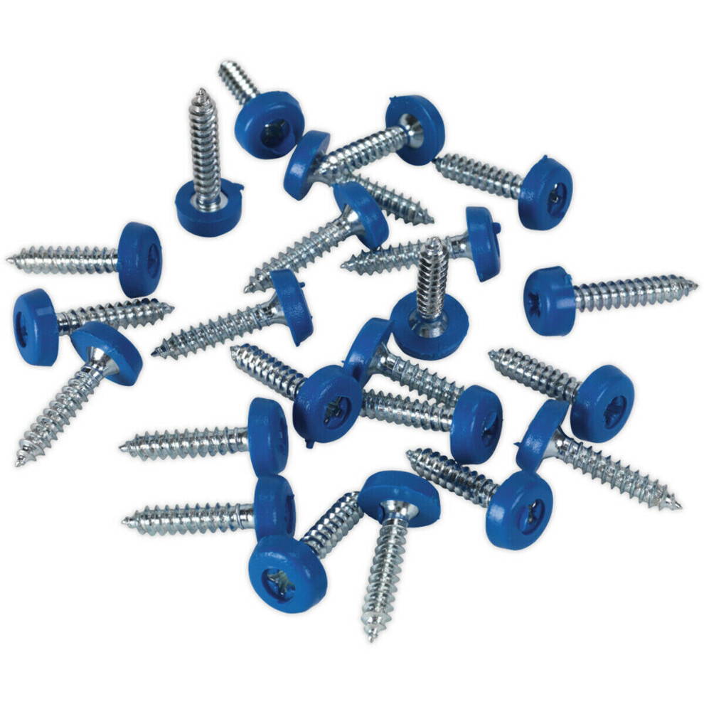 50 PACK 4.8 x 24mm Blue Numberplate Screw - Plastic Enclosed Head Fixings