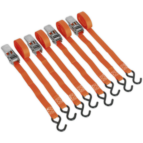 Loops 2 PAIR - 25mm x 4m 500KG Ratchet Tie Down Straps Set - Polyester Webbing S-Hook 2