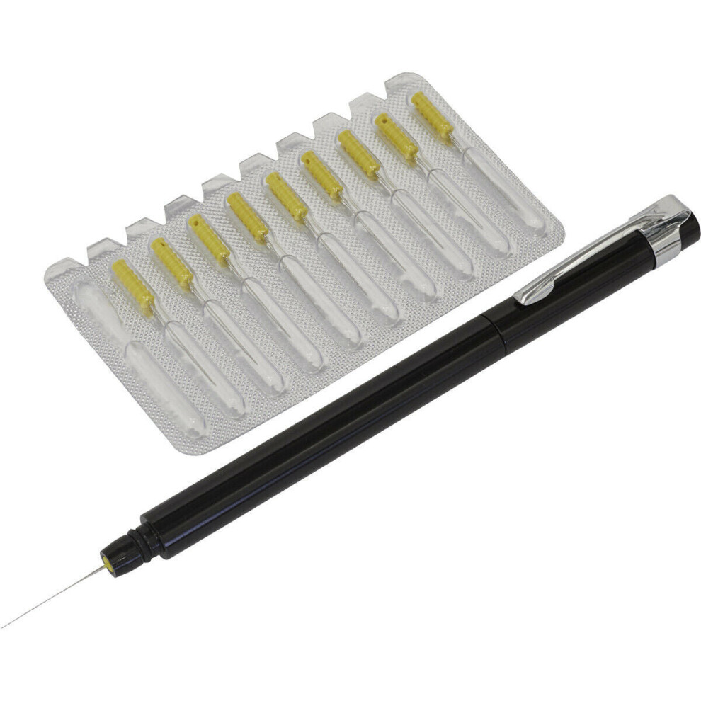 Aluminium Wet Paint Dirt Removal Pen with Pack of Replacement Needles - Case