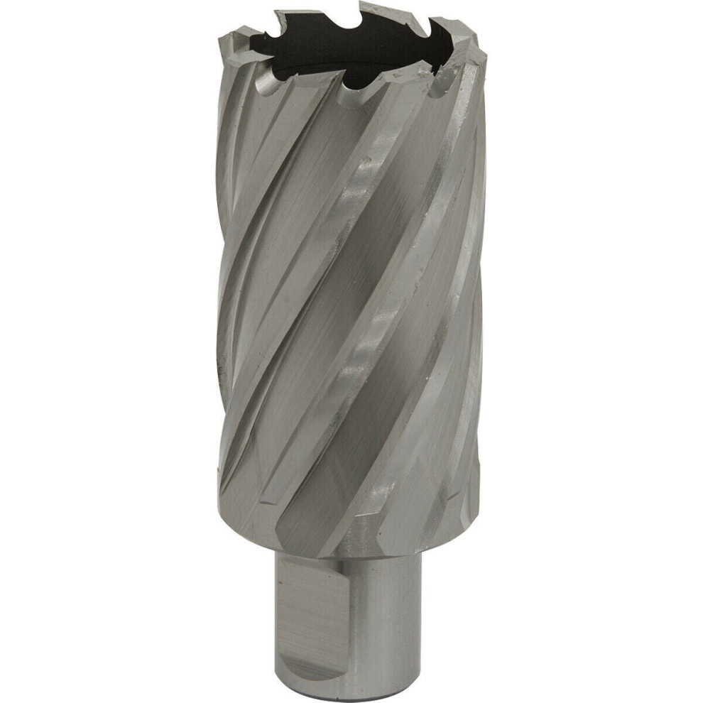 34Mm X 50Mm Depth Rotabor Cutter - M2 Steel Annular Metal Core Drill 19Mm Shank 5056524298060