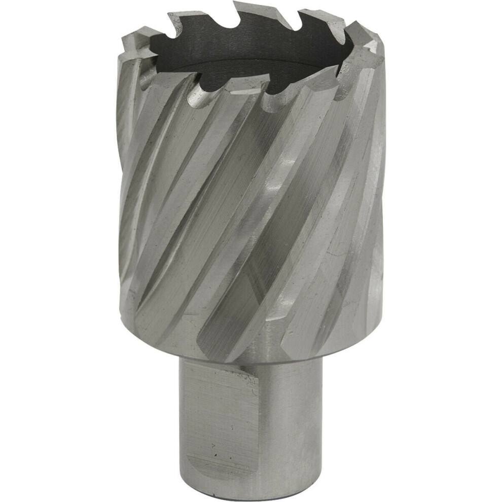 34Mm X 25Mm Depth Rotabor Cutter - M2 Steel Annular Metal Core Drill 19Mm Shank 5056524298077