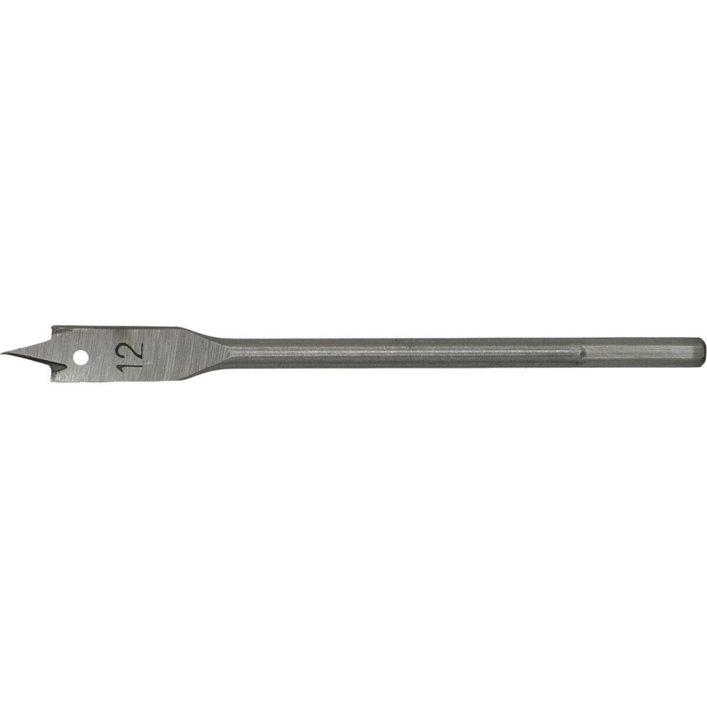 Loops 12 X 152Mm Fully Hardened Wood Drill Bit - Hex Shank - High Performance Woodwork