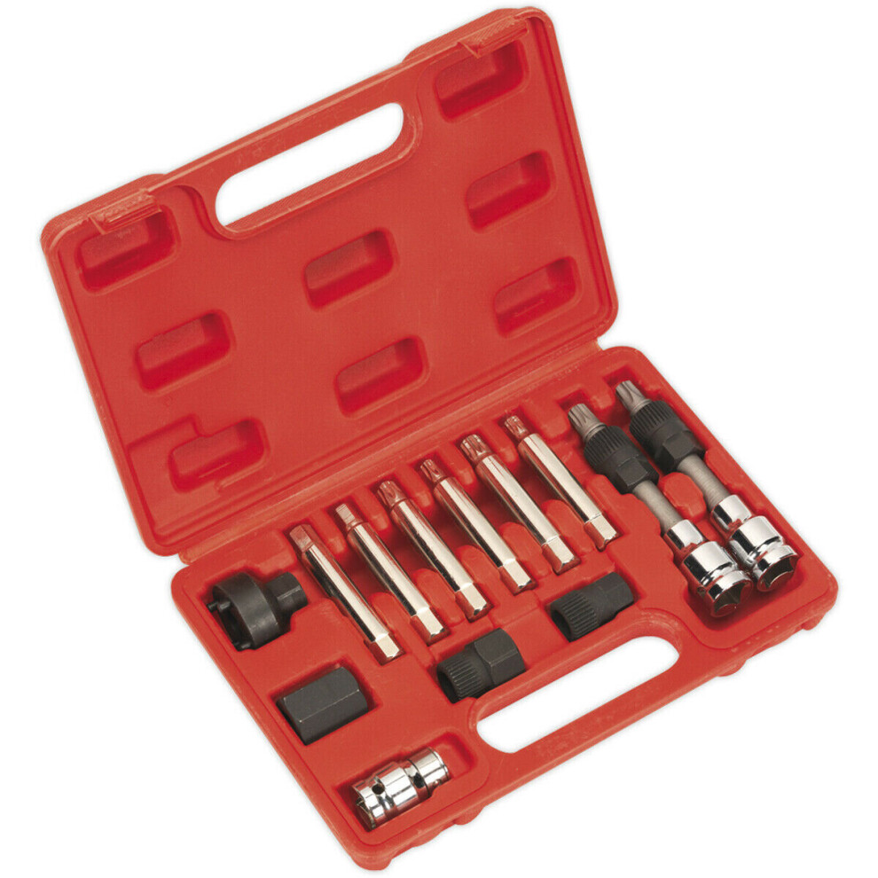 13 Piece Alternator Freewheel Removal Set - Alternator Pulley Removal Kit 5056581931122
