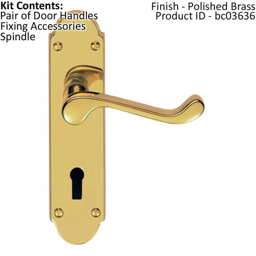 Loops PAIR Victorian Upturned Handle on Lock Backplate 170 x 42mm Polished Brass 1