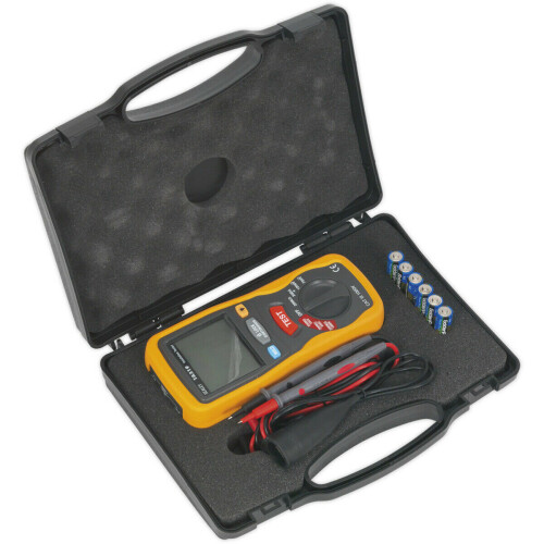 Loops Digital High Voltage Insulation Tester - Suitable for Hybrid & Electric Vehicles 2