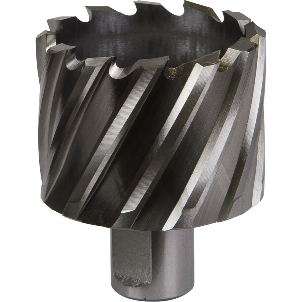 Loops 51Mm X 25Mm Depth Rotabor Cutter - M2 Steel Annular Metal Core Drill 19Mm Shank