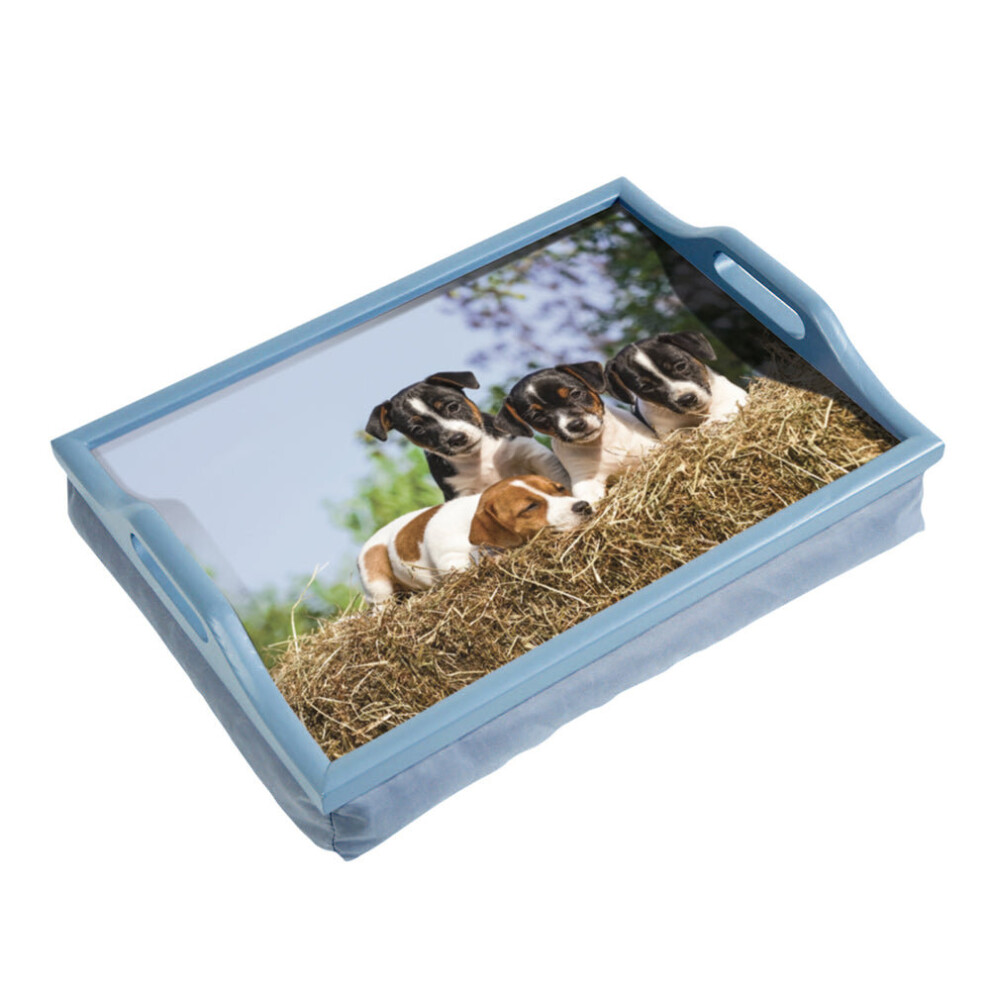 Loops Laminated Wooden Lap Tray With Built In Cushion - 100 X 400 X 300Mm - Dog Design