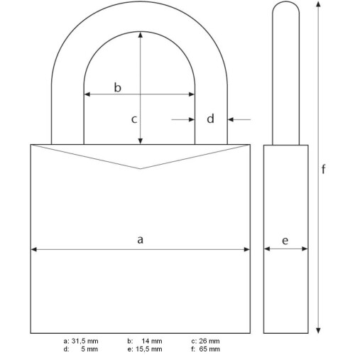 Abus ABUS AB145/30 TITANIO Padlock, Gray, 30 2