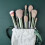Ranpo (Green) 13Pcs Multifunction Makeup Brush Set 9