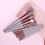 Ranpo (Pink) 13Pcs Multifunction Makeup Brush Set 1