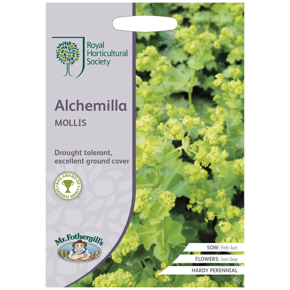 Mr Fothergill's Mr.fothergill's Rhs Grow Your Own Summer Alchemilla Mollis Seeds Pkt