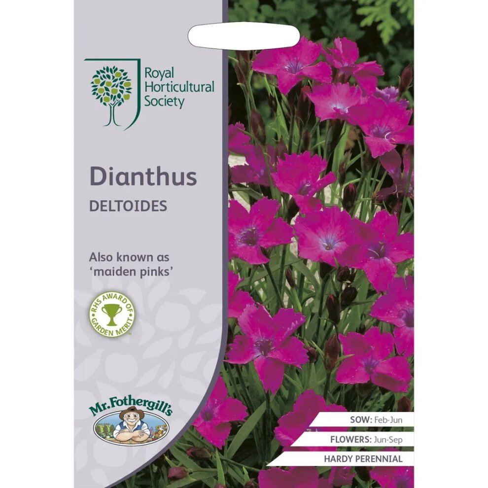 Mr.Fothergill's RHS Grow Your Own Summer Dianthus Deltoides Seeds Pkt