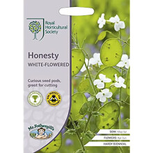 Mr.Fothergill's RHS Home Grown Garden Honesty White-Flowered Seeds Pkt