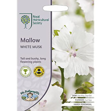 Mr.Fothergill's RHS Grow Your Own Garden Mallow White Musk Seed Packet (100 Seeds) - White Musk Mallow, Long-Flowering Summer Blooms