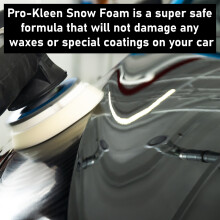 (Mango) ProKleen Snow Foam Car Shampoo & Nilfisk Lance Kit