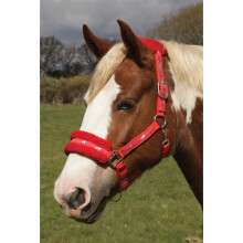 Rhinegold Logo Headcollar fleece trim
