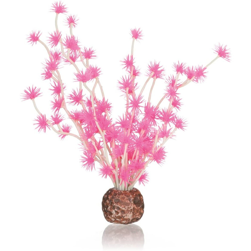 Biorb Bonsai Ball Pink