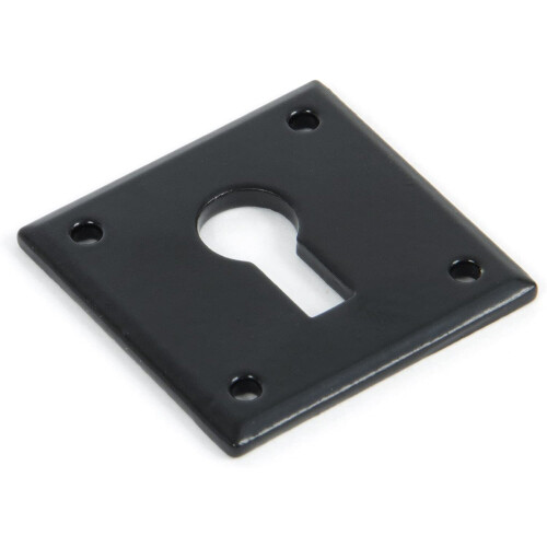 From the Anvil 83657 Avon Escutcheon-Black
