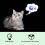 4-Pack LED Motion Cat Balls - Light-Up Interactive Cat Toy (3.4 cm Diameter) 10