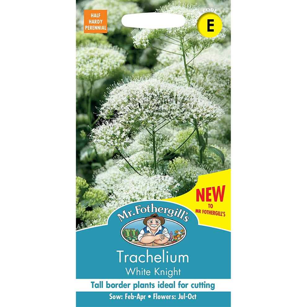 Mr.Fothergill's Grow Your Own Flowers Trachelium White Knight Seeds