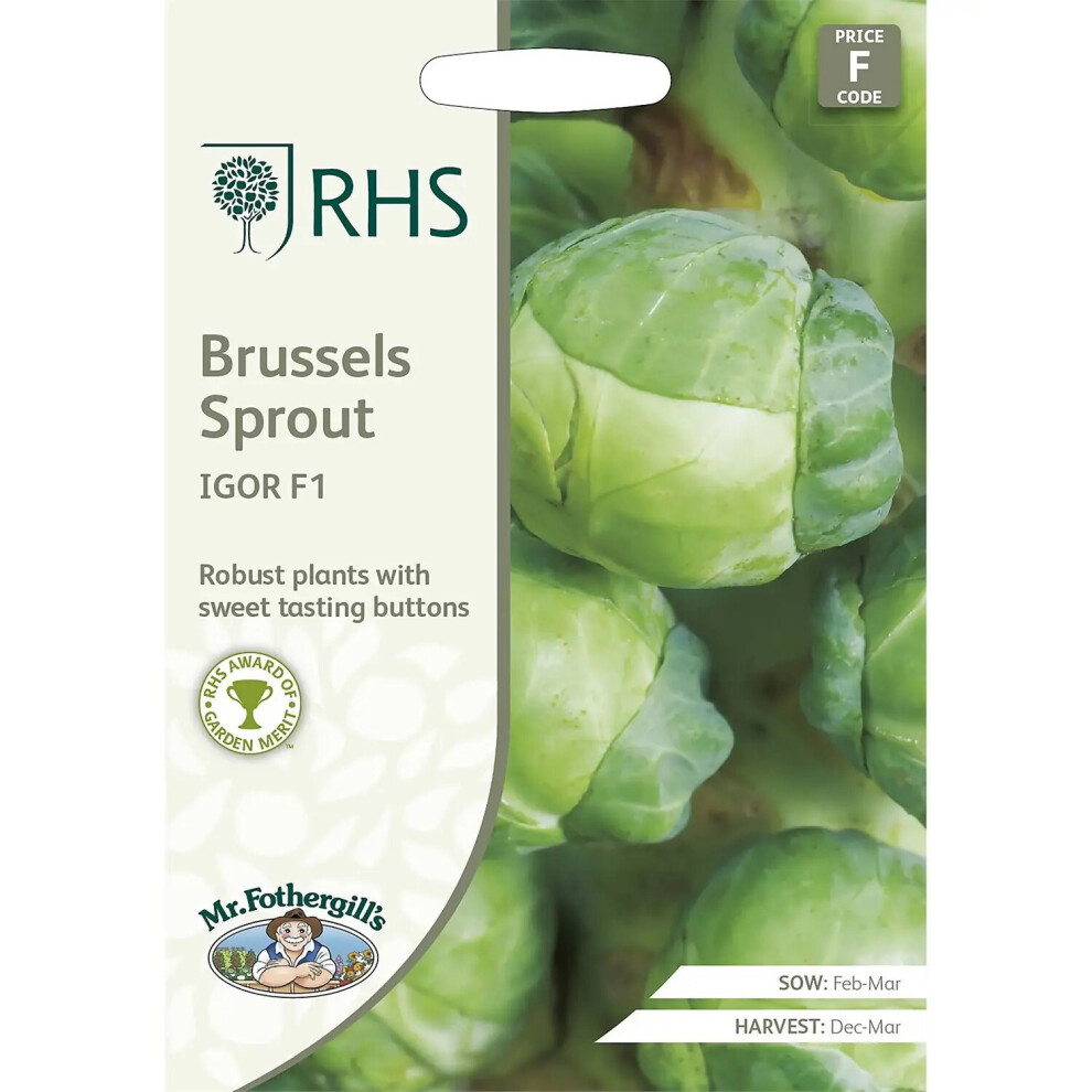 Mr Fothergill's Mr.fothergill's Vegetable Garden Brussels Sprout Igor F1 Seeds Packet Green