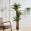 Living And Home 150CM Large Artificial Fern Tree Plant with Pot 1
