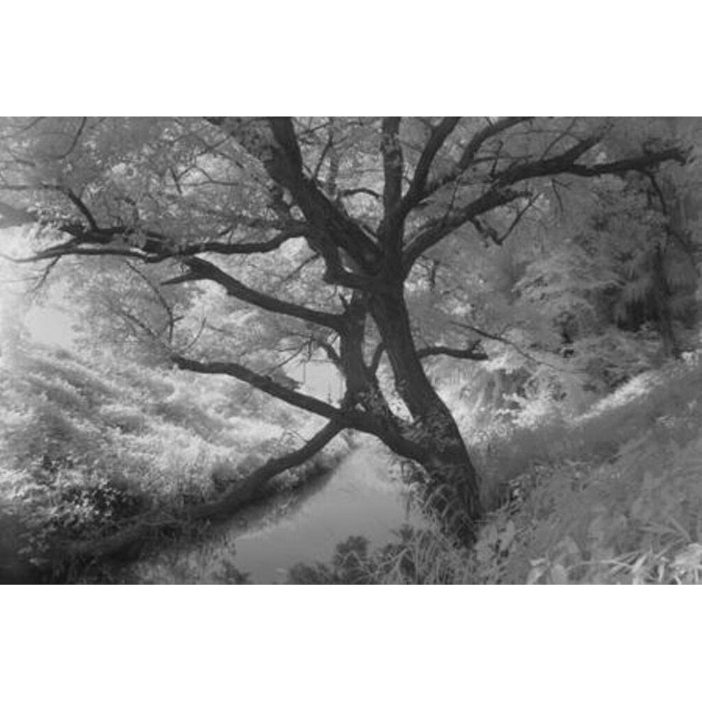 Hoya 46mm Infrared R72 Screw-in Filter