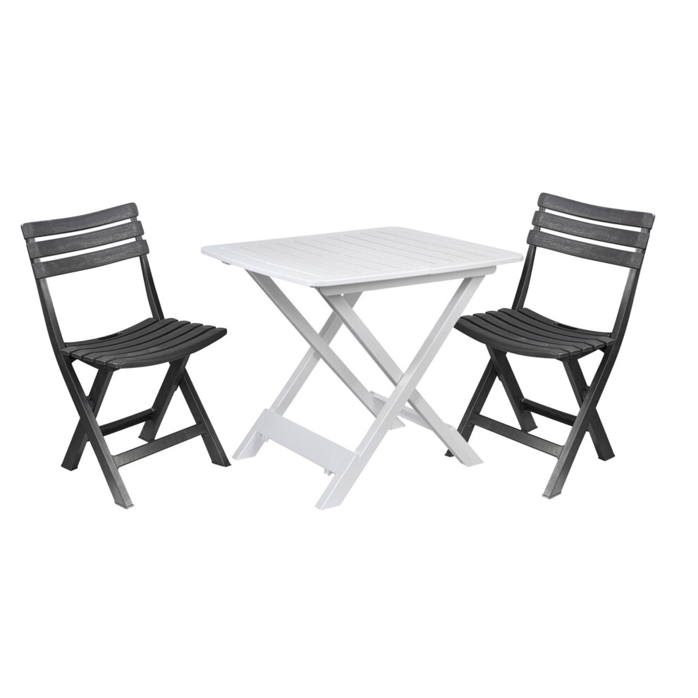 (White) Portable Folding Camping Plastic Picnic Tray Table And 2 Folding Chairs Set