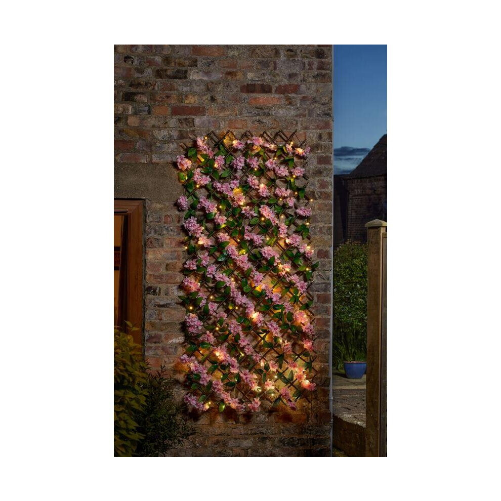 Smart Garden (180 X 90 Cm 75 Led 5604102) In-Lit Cherry Blossom Trellis Solar Powered Artificial Led 180 X 60, 180 X 90 Cm
