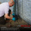 Roshield Roshield 2 Tamper-Proof Rat & Mouse Box Kit for Traps & Poison Bait 5