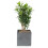 Koop Cube Planter 20cm Grey Stone Effect Plant Pot 2