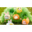 Disney Winnie the Pooh and Pals 1