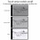 A4 Ultra-thin Portable LED Drawing Pad Tracing Light Box Track Light 3