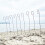 Selections 20 x Shepherds Crook Black Metal Garden Border Hooks (1.5m) 1