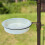 Selections Water Dish, Mesh Seed Dish & Bracket Set for Bird Feeding Stations 3