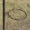 Selections Water Dish, Mesh Seed Dish & Bracket Set for Bird Feeding Stations 4