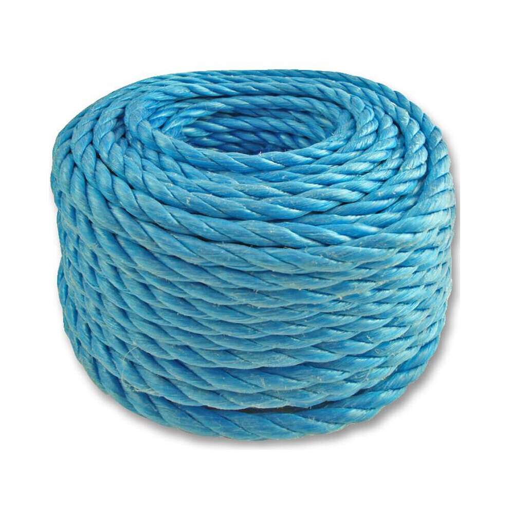 Loops 30M 10Mm Poly Rope Winch Pulley Lash Line Boat Camping Marine Tarpaulin Blue