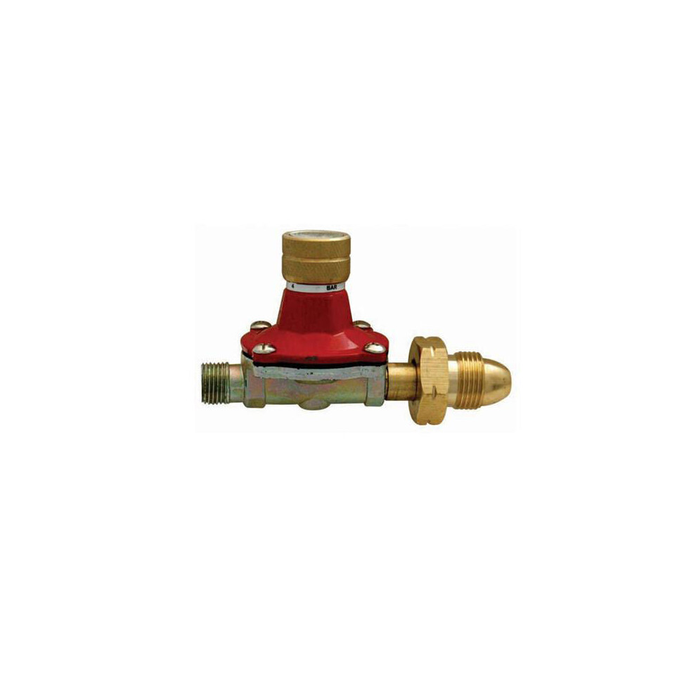 Propane Butane Gas Regulator 0.5 4.0 bar