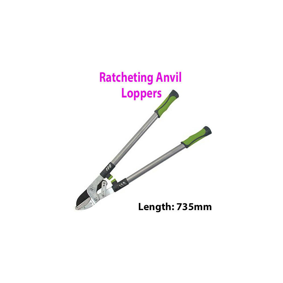 735mm Ratcheting Anvil Lopping Shears Garden Allotment Tool Branch Twig Bush