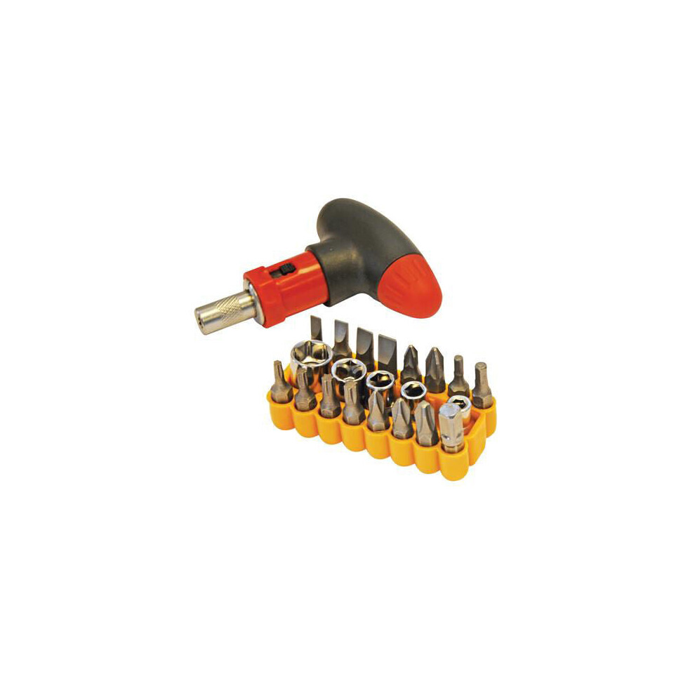 22 Piece T Handle Screwdriver Set 5 Sockets 4mm 10mm 16 Assorted Bits