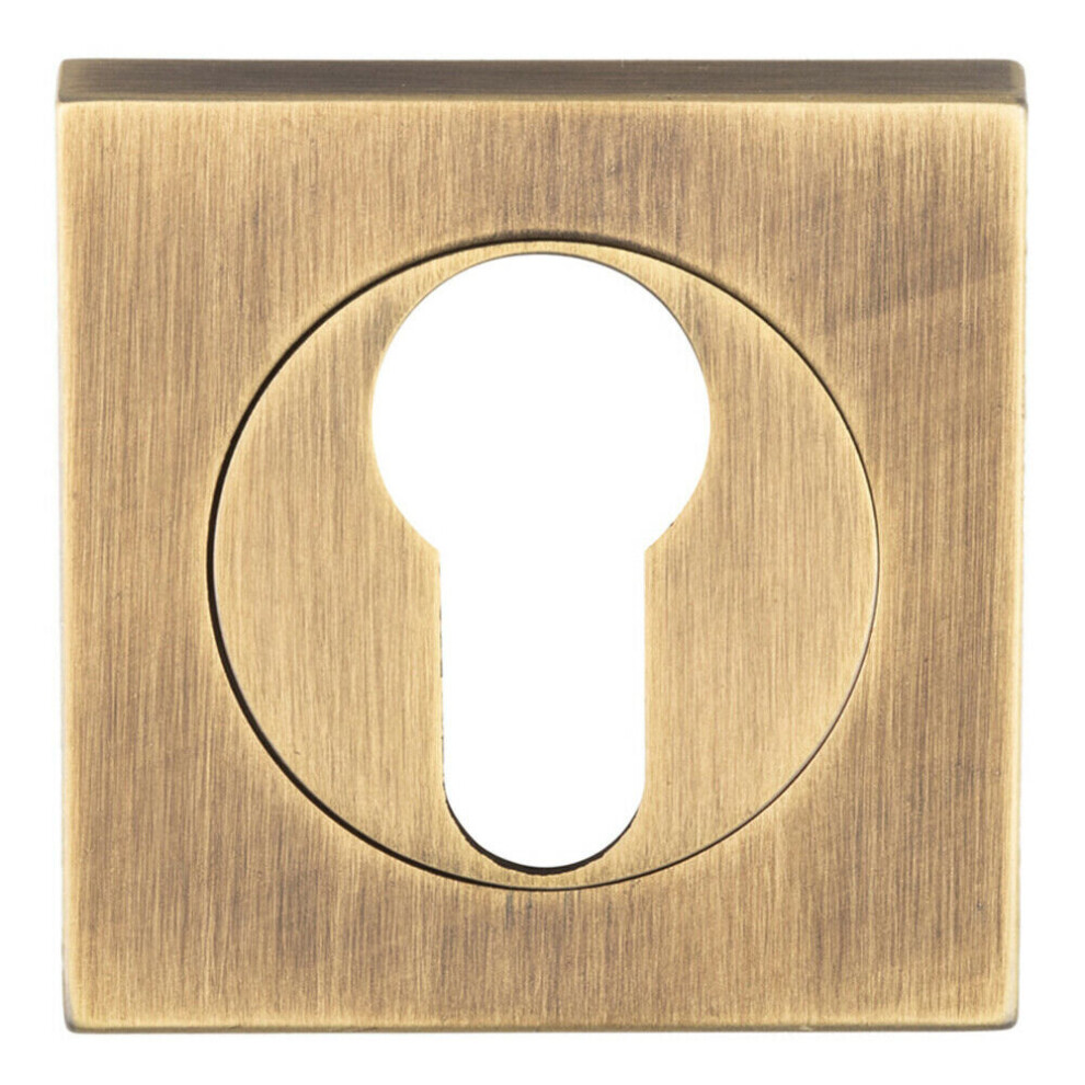 Loops Square Euro Profile Escutcheon 52 X 52Mm Concealed Fix Antique Brass