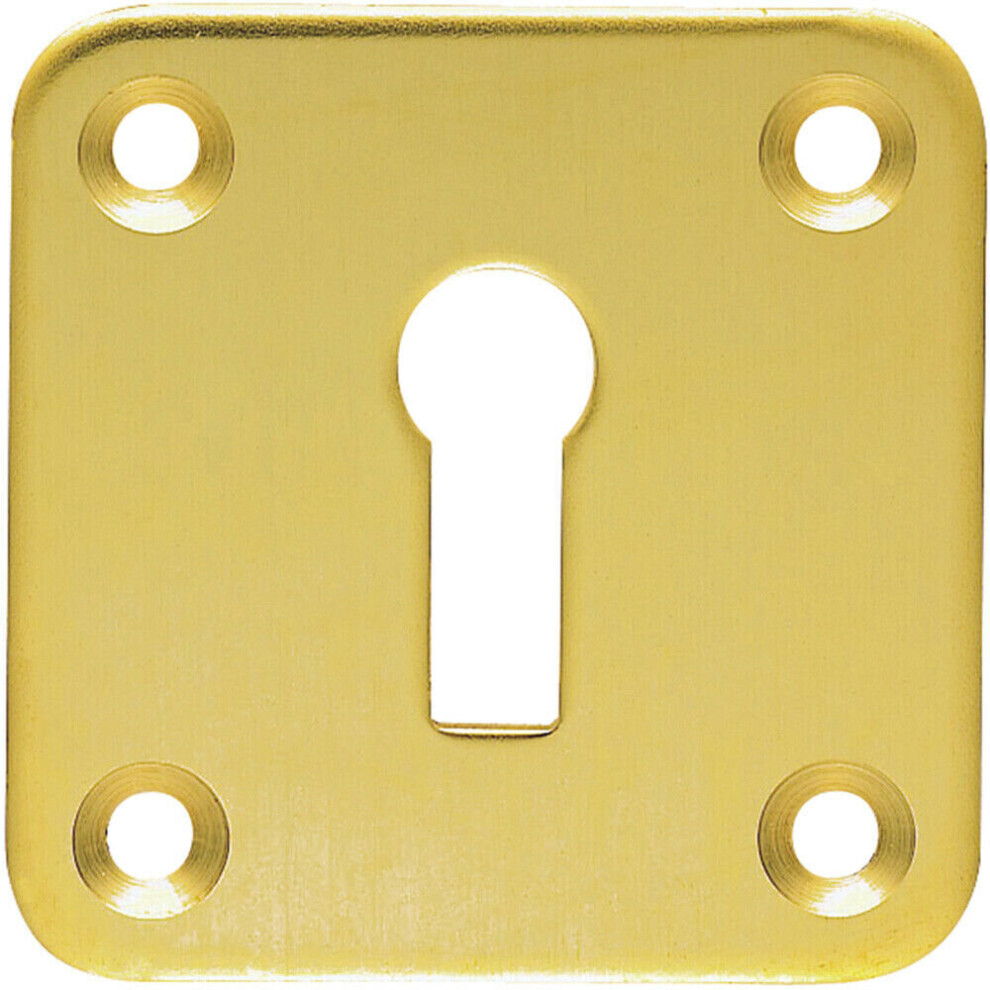 Loops Standard Lock Profile Open Escutcheon 50 X 50Mm Polished Brass Keyhole Cover