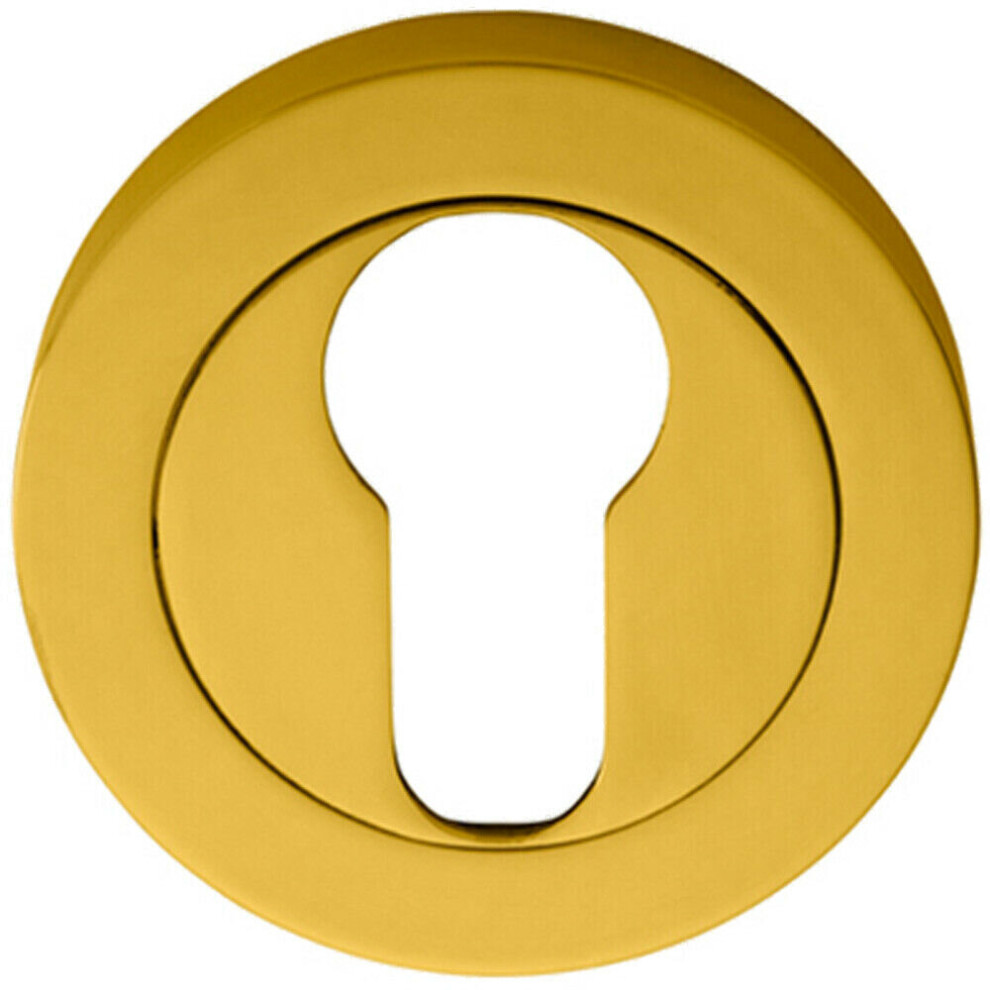 Loops 50Mm Euro Profile Escutcheon Concealed Fix Polished Brass Keyhole Cover
